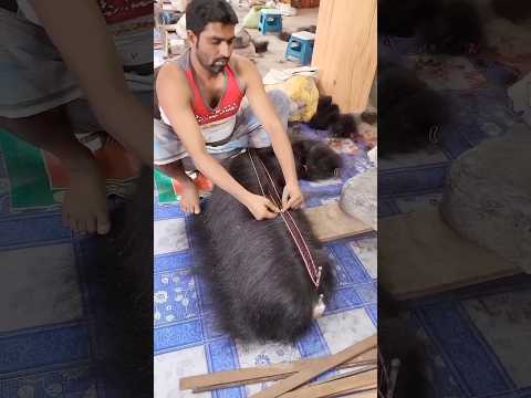 Short video #short #shorts