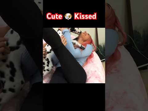 Cute puppy #shortvideos #shorts